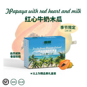 海南红心牛奶木瓜 自然成熟 香甜丝滑 顺丰包邮