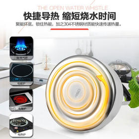 爱仕达响水壶304不锈钢5L鸣音笛吹壶燃气电磁炉通用热水烧水壶WG1505