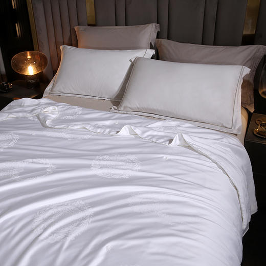 悠梦嘉居云锦玉柔纯蚕丝被 商品图1