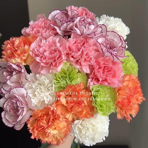 【买花的快乐源泉】AB级高原红玫瑰或随机玫瑰10支+黄天霸单头香水百合5支5朵+赞美诗单头亚百合3支3朵+橙色梦想亚百合6-8朵+送随机多头或随机单头康10支/份 商品图6