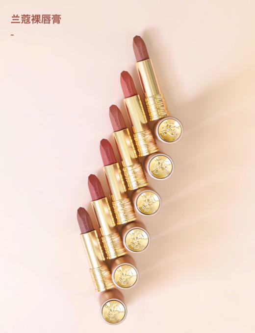 【新品上架】兰蔻（LANCOME）小蛮腰柔雾裸唇膏粉金管242/111/210/247/273/274/196 商品图10