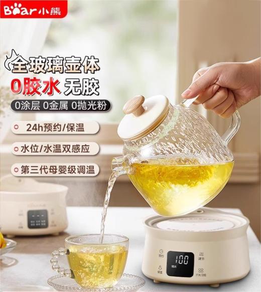 小熊养生壶全玻璃家用多功能小型迷你办公室煮茶器烧水壶 商品图0