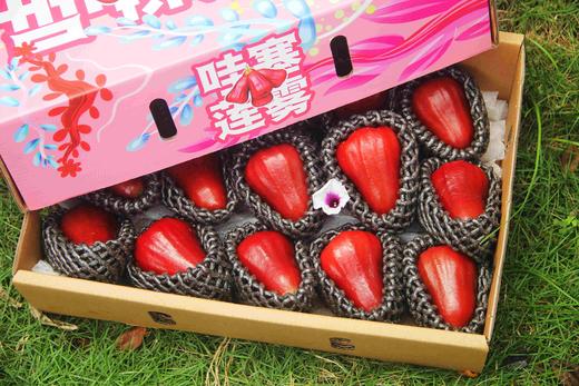 海南黑金刚莲雾 商品图3