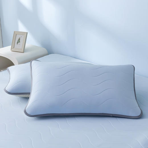 皇冠碧域 （冰感凉席）T3519 商品图1