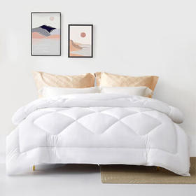 水星家纺被子冬季被子被芯纤维被褥约6.7斤220*240cm白