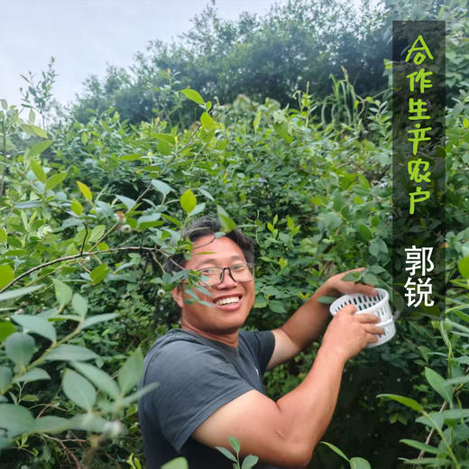 生态紫糯玉米 | 合作生产*Eco-friendly Purple Waxy Corn|  Partner Production 商品图2