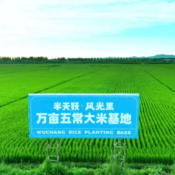 风光里半天妖五常大米基地稻花香绿色食品东北大米5斤 /粮油调味 /米 /稻花香米 商品图2