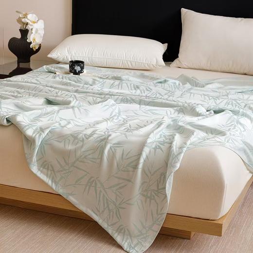 悠梦嘉居沁雅竹纤维盖毯 商品图2