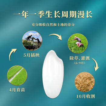 长寿山新米 东北富硒有机大米稻香米 延寿标识当季粳米 团购送礼10斤 /粮油调味 /米 /稻花香米 商品图2