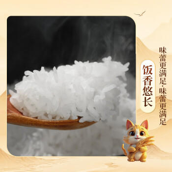 米皇坊甄选猫牙米10斤 籼米长粒米 丝苗米 南方一级大米 当季新米 /粮油调味 /米 /丝苗米 商品图1