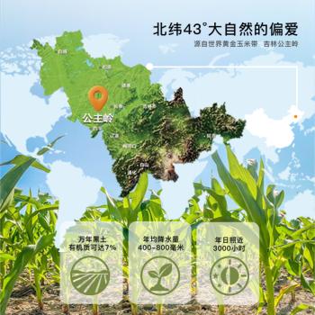 田里有草有机黄糯玉米 9.6斤 24根 有机玉米营养健康真空袋装非转基因 /粮油调味 /杂粮 /谷米类 商品图2