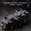 北海湾 大连淡干海参干货底播辽刺参250g15-25头 海鲜水产礼盒 /粮油调味 /南北干货 /干海参 商品缩略图5