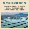 颂礼白【宁德产地】海带头250g*1袋霞 特级海带头煲汤凉拌源头直发包邮 /粮油调味 /南北干货 /鱼虾贝藻类干货 商品缩略图4