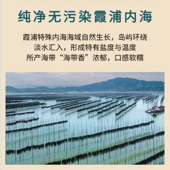 颂礼白【宁德产地】海带头250g*1袋霞 特级海带头煲汤凉拌源头直发包邮 /粮油调味 /南北干货 /鱼虾贝藻类干货 商品图4