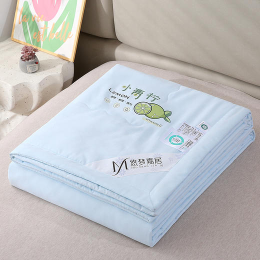 悠梦嘉居小青柠安神净柔被 商品图2