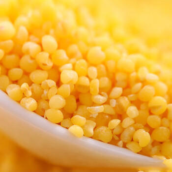 巨鹰米脂小米陕北黄小米油陕西特产小米粥五谷杂粮家庭礼盒装3kg /粮油调味 /杂粮 /谷米类 商品图4