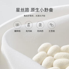 水星家纺蚕丝被100%蚕丝被子春秋被单人空调被芯被褥约3斤150×210cm
