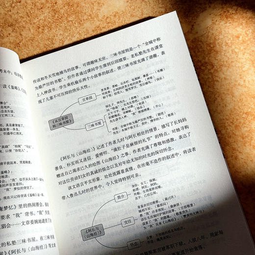 特级教师思维导图名著领读 大夏书系 阅读教育 吴再柱 商品图7