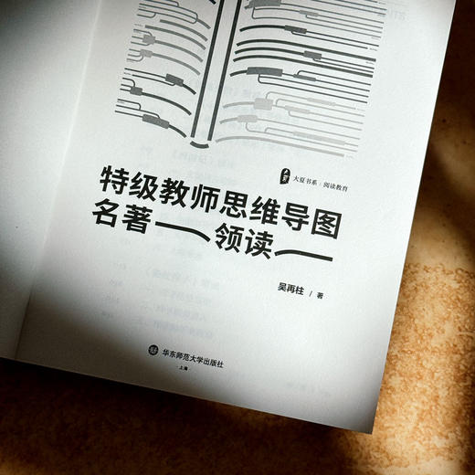 特级教师思维导图名著领读 大夏书系 阅读教育 吴再柱 商品图4