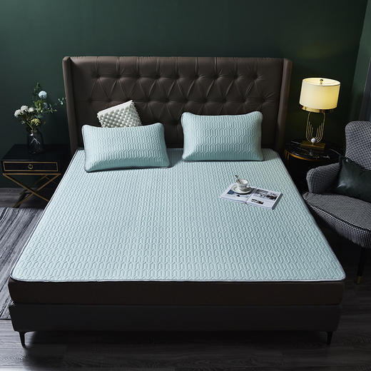 悠梦嘉居 轻奢天然乳胶席 商品图0