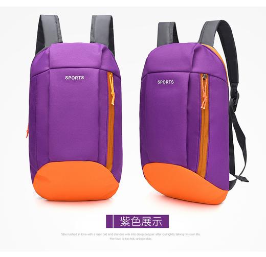 双肩登山包运动包户外轻便包 商品图0