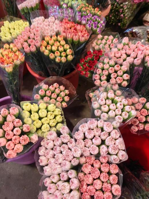 精品花材康乃馨18支 商品图1