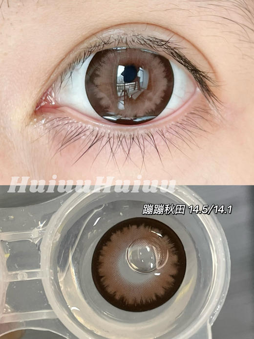 【半年抛大直径】AROMI-憨憨黑柴/贴贴比熊/蹦蹦秋田-14.5mm【半年抛 0-800度 含525/575】 商品图3