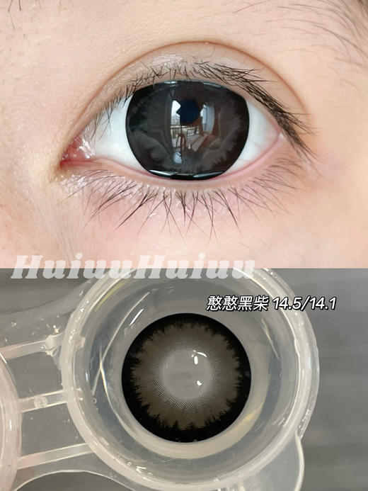 【半年抛大直径】AROMI-憨憨黑柴/贴贴比熊/蹦蹦秋田-14.5mm【半年抛 0-800度 含525/575】 商品图5