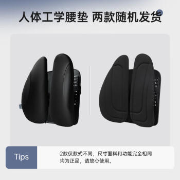 佳奥人体工学靠垫办公室护腰靠背垫椅子久坐腰垫座椅腰靠上班四向调节 商品图4