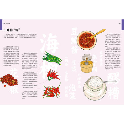 中国旅行体验指南·四川 孤独星球作者团队全新打造 旅行线路图 攻略 旅行指南 商品图2