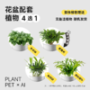 【送绿植4选1】植物萌宠机器人电子宠物花盆 商品缩略图1
