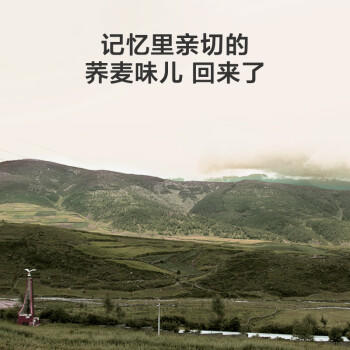 京东京造 经典荞荞枕 100%荞麦壳填充透气高度可调花草枕头枕芯单只装 商品图4