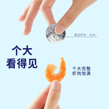 十月稻田 大号金钩海米150g 干虾仁 淡干大粒虾干虾米 海鲜特产 煲汤火锅 /粮油调味 /南北干货 /鱼虾贝藻类干货 商品图6