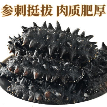三只海豚干海参 大连海参干货辽参刺海参国标高泡发海产13-16只/50g /粮油调味 /南北干货 /干海参 商品图3