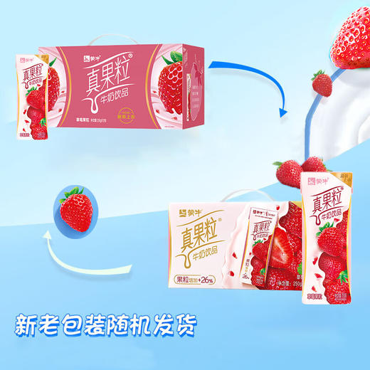 蒙牛 真果粒草莓果粒牛奶饮品 250g*12 商品图5