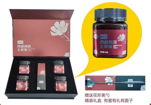杞冠臻选 |  藏野花西藏高原野生百花土蜂蜜 1000g 商品图1