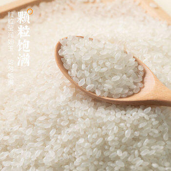 隆平芯米鹤乡珍米10斤 2025年新米 珍珠米 东北大米 寿司粥米 粳米5kg /粮油调味 /米 /珍珠米 商品图1