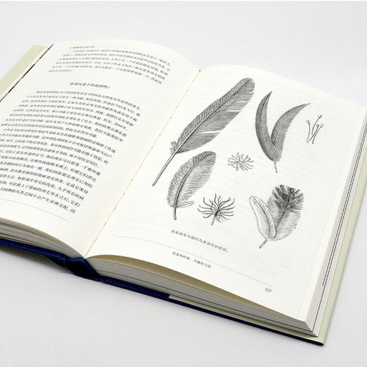 【精装】恐龙全书|  科学家讲述的恐龙‘冷知识档案’ 商品图9