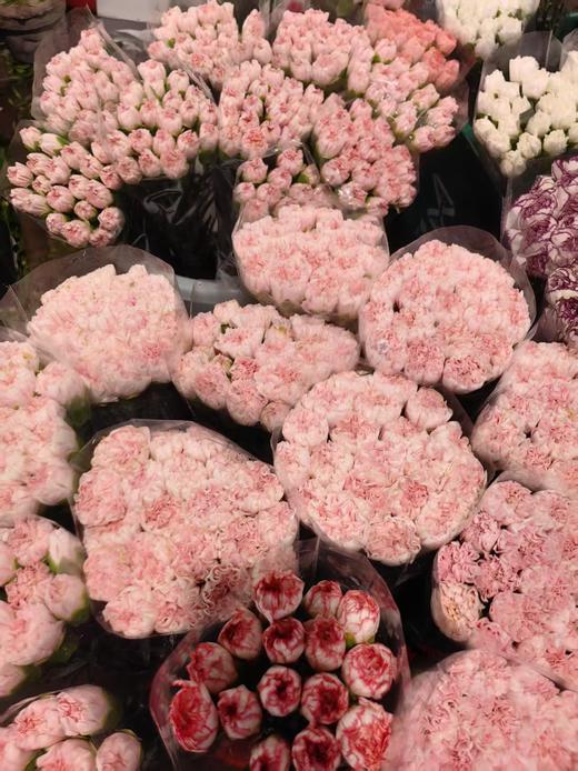 精品花材康乃馨18支 商品图3