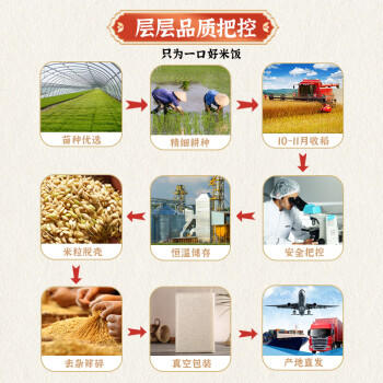家有农场五常大米10斤【箱装5斤*2】原粮稻花香2号 节日团购 当季新米 /粮油调味 /米 /稻花香米 商品图3
