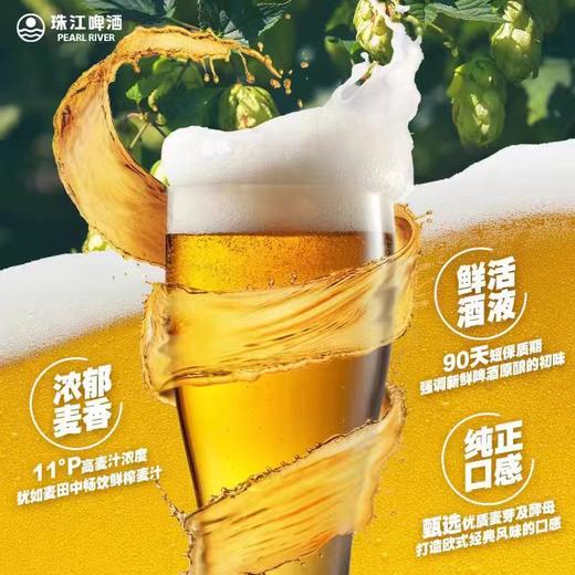 【整箱】珠江啤酒 11°原浆精酿啤酒980ml*6瓶 商品图4
