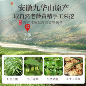 福东海 制黄精 250克 黄精炙黄精片九蒸九晒熟养生五宝茶搭肉苁蓉泡酒料