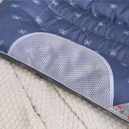悠梦嘉居决明子磁疗枕 商品图2