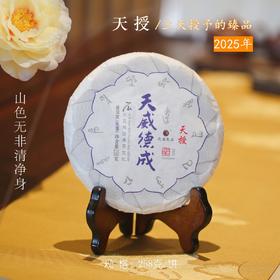2025天授 臻品古树生茶 山色无非清净身 石老师定制