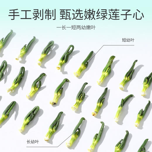 杞里香125g精选莲子心湘潭品质泡茶泡水，湖南湘潭鲜采 莲子心 当季头茬 人工筛选,拒绝硫熏 商品图4