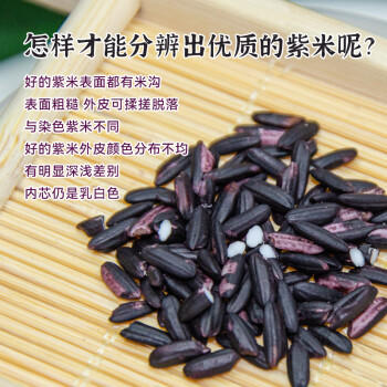 吾爱吾谷云南紫米300g（墨江紫糯米含花青素无染色五谷杂粮粗粮紫米粥） /粮油调味 /杂粮 /谷米类 商品图1