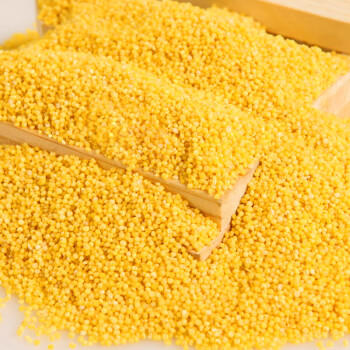 巨鹰米脂小米陕北黄小米油陕西特产小米粥五谷杂粮家庭礼盒装3kg /粮油调味 /杂粮 /谷米类 商品图2