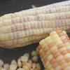 云南西双版纳香糯小玉米 商品缩略图1