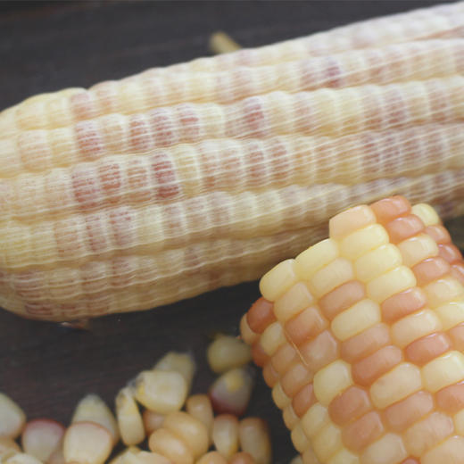 云南西双版纳香糯小玉米 商品图1
