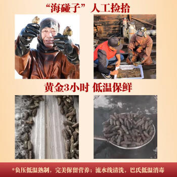 张奶奶正宗大连淡干海参130g20-30头 底播辽刺参礼盒 营养滋补送礼 /粮油调味 /南北干货 /干海参 商品图7